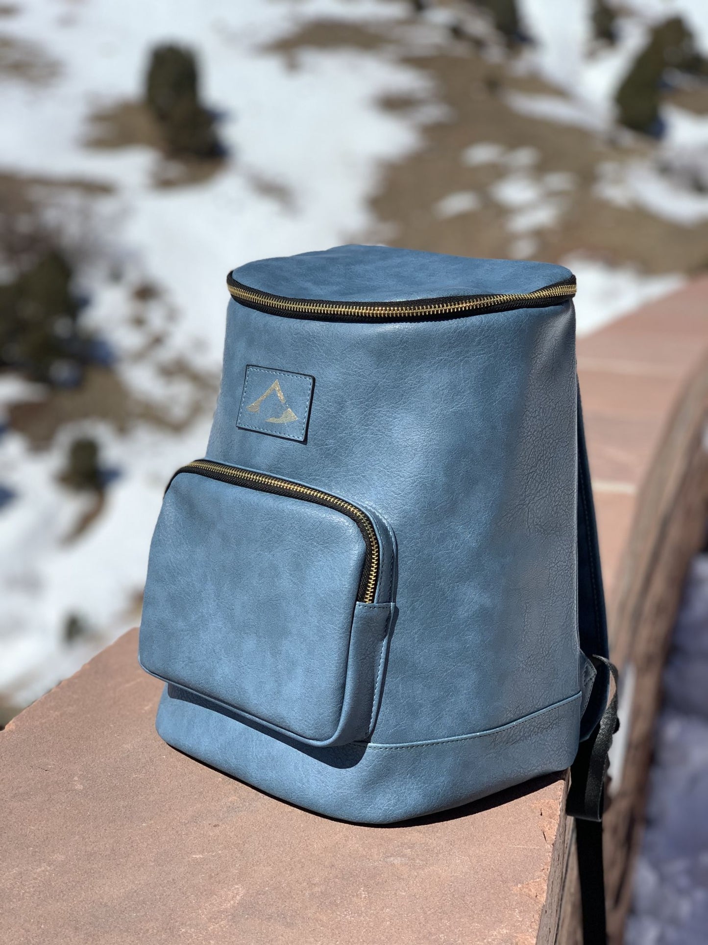 NiceAces’ insulated leakproof and waterproof backpack cooler
