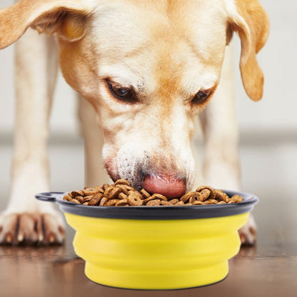 4Pcs Silicone Collapsible Dog Bowls BPA Free Travel Dog Bowl Foldable Cat Dog Food Water Bowl